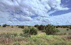 184 Gilmore Court, Lipan, TX 76462