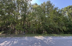 Tract 2 Tabernacle Road, Eutawville, SC 29048
