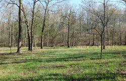 000 Old Military Road, Mountain Home, AR 72653