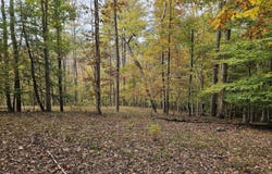 4669 Brookridge Rd, Roanoke, VA 24014