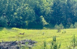 00 N 25 Road, Mesick, MI 49668