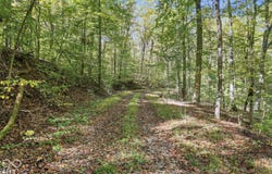 7550 S State Road 446, Bloomington, IN 47401