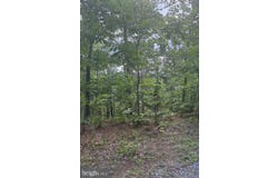 RIVER RIDGE DRIVE, MIDDLETOWN, VA 22645