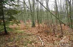 620 Bean River Road, Pine Plains, NY 12567