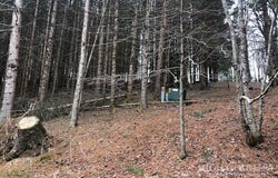 Tract 101 Valle Cay Drive, Vilas, NC 28692