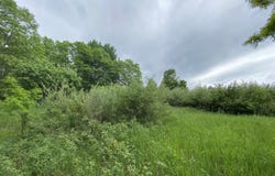 Parcel A Cemetery Road, Alden, MI 49612