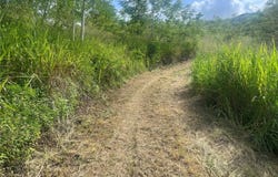 Km Hm 17.7 CARR 150, COAMO, 00769