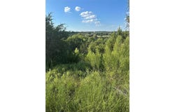 3030 Beacon Lake Drive, Bluff Dale, TX 76433