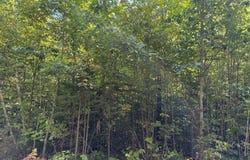 ON FREBURGS RD, Saxon, WI 54559