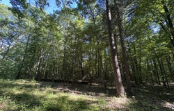 104th Avenue, Allegan, MI 49010