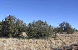 Sec 31 T15N,R16E:Nw4 Se4 --, Heber, AZ 85928