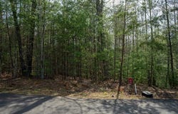 Flowing Springs Drive lot: 2, Murphy, NC 28906