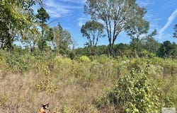 CR 1111, Atlanta, TX 75551