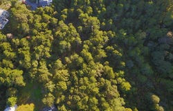 Evergreen Lane, Chatham, MA 02633