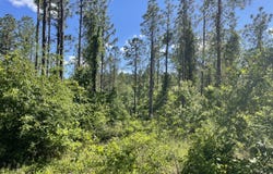 0 HWY 17, Butler, AL 36904