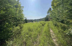 Lot #6 E Bellinger Road, Cedar, MI 49621