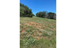 W25058 ApacheTears/White, Horseshoe Bay, TX 78657