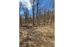 115 Mohawk Drive, Old Forge, NY 13420