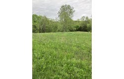 9999 Johnson Ford Road, Owingsville, KY 40360