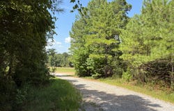 000 HWY 82, McCarley, MS 38967