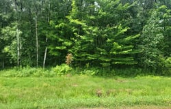 N4651 PENNINGTON RD, Prentice, WI 54556