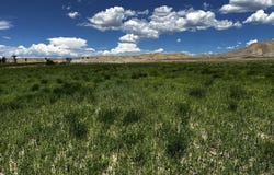 TBD Racine Road, Montrose, CO 81401