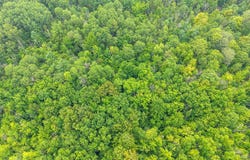 L12.3 Humphrey Road, Fultonville, NY 12072