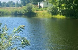 Eisaman Road, Grove, NY 14884