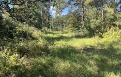 Highway 24, Liberty, MS 39645