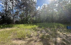 V/L Bear Paw Trail, Vanderbilt, MI 49795