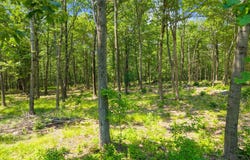 L7 Harroway Road, Richmondville, NY 12149