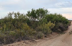 495 War Zone Rd, Terlingua, TX 79852