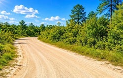 Will Jones Rd, Vinegar Bend, AL 36584