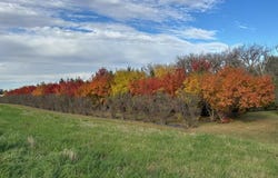 48479 Baileys Bay Road, Big Stone City, SD 57216