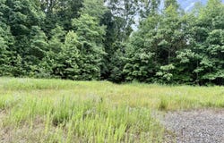 Marcum Creek Rd, Oneida, TN 37841