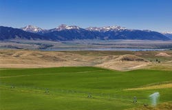 Lots 4, 5, 6, 7, and 8 Twin Knob, McAllister, MT 59740