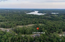50 LAKE ISLAND ROAD, TUSCALOOSA, AL 35406