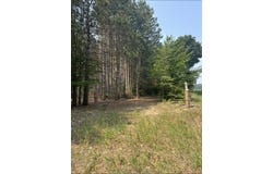 11482 Litzen Road, Copemish, MI 49625