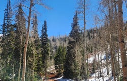 590 W Kokopelli Lp, Brian Head, UT 84719