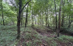 Gainestown Road, Jackson, AL 36545