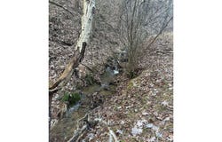 BUCK HILL LANE, SUGAR GROVE, WV 26815