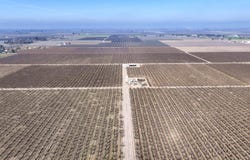 Elder Avenue, Hanford, CA 93230