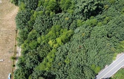 Neer City RD, Rainier, OR 97048