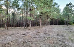 TBD Woods Rd, Leesville, LA 71446