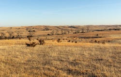 TBD 820 DR, Anselmo, NE 68813