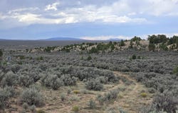 County Road 110, Ranchos de Taos, NM 87557-0000