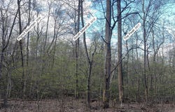 PADUA, SPERRYVILLE, VA 22740