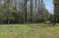 1781 RIVERVIEW BEACH ROAD, MOUNDVILLE, AL 35474