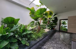 59 KING´S COURT STREET, SAN JUAN, 00911