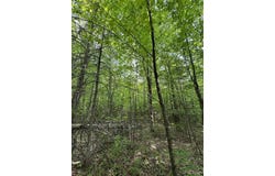 5563 Calderwood, Trout Creek, MI 49967
